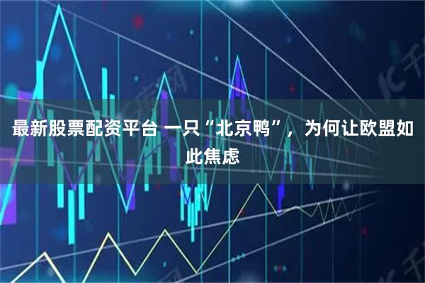 最新股票配资平台 一只“北京鸭”,为何让欧盟如此焦虑